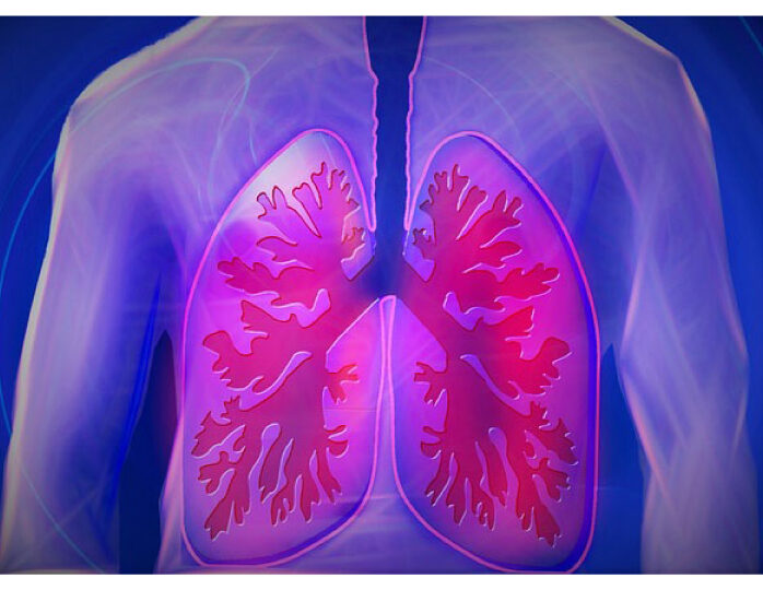 lungs